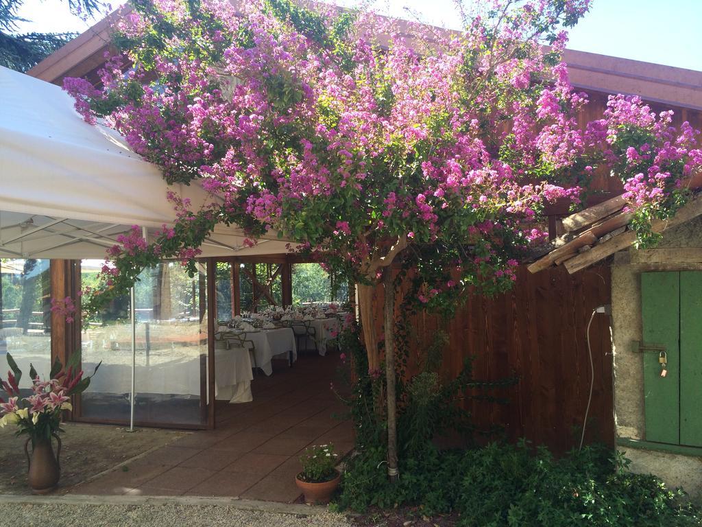 Agriturismo Ristorante Albachiara Villa Carpeneto Eksteriør bilde